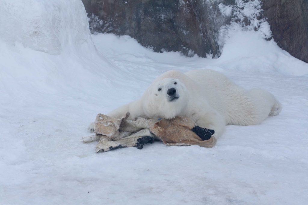 ������� ��������������� ��������10 460.jpg